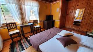 Гостевой дом Guest rooms Colorit Копривштица Двухместный номер с 1 кроватью и видом на горы-3